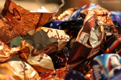 Investigator assessing a garden clearance site